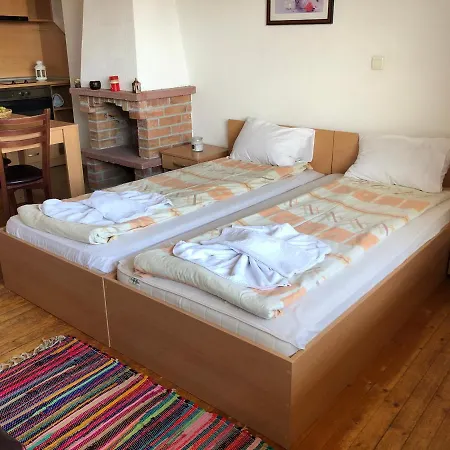 Apart Four Leaf Clover Private Studio Bansko